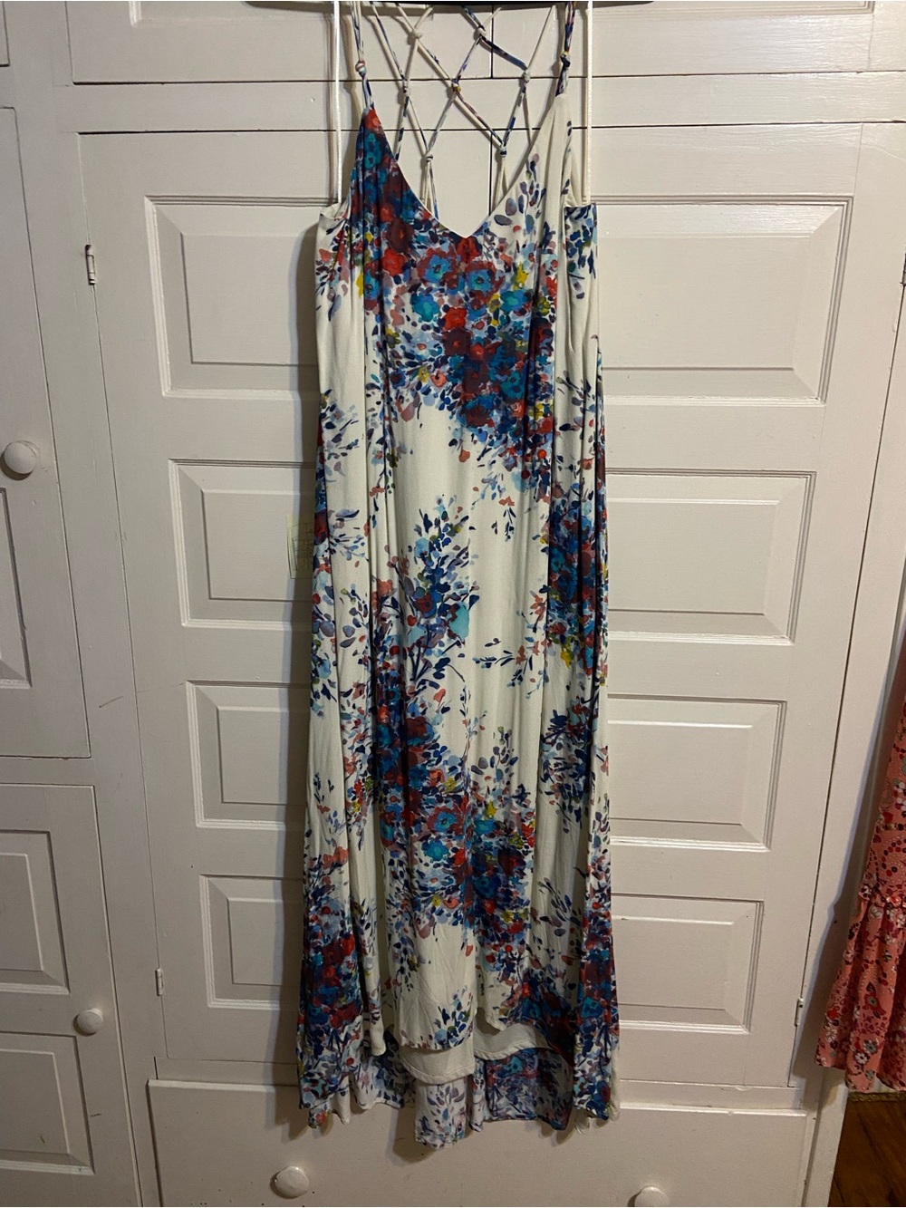 lovestitch Ivory Maxi Dress with Blue and Red Floral Print
